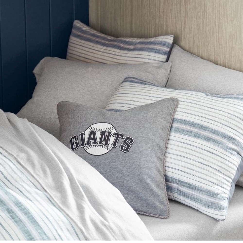 Pottery Barn Teen Organic Cotton Twin Bedding Sheets - Gray - Picture 3 of 5